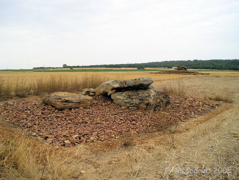 Click for the gallery page to add comments and vote (PID:49917) Monpalais dolmen 2