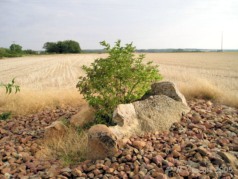 Like the other dolmens here it has been tidied up, and now consists of a chamber in a little round mound of stones. 