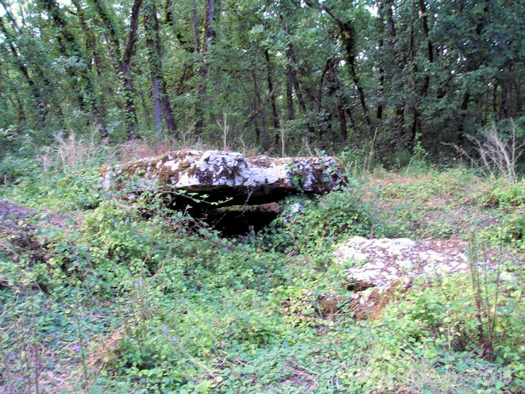 Click for the gallery page to add comments and vote (PID:40927) Dolmen de la Garenne (La Mothe)