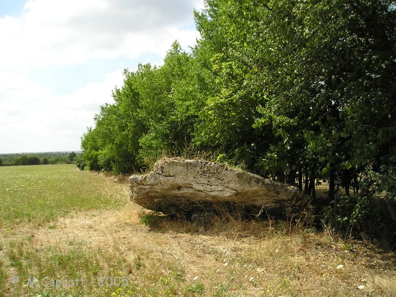 Croissonnière dolmen