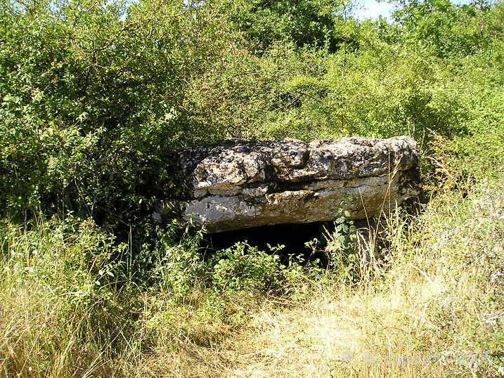 It is a little limestone simple dolmen, with its entrance towards the east. 