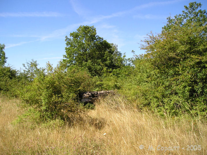 Even having the detailed map of the area, finding this dolmen was not easy. 
It is to be found in the side of the hedge, and is getting rather overgrown. 