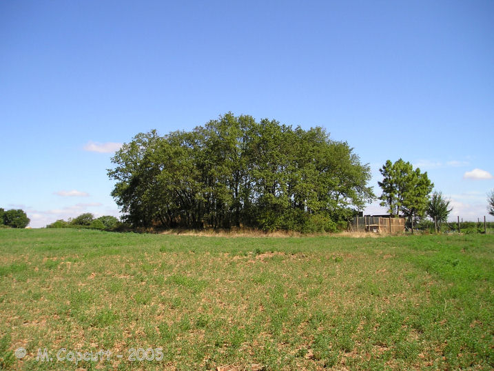 Dolmen de Laverré