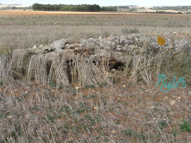 La Petite Pierre Levée (Chantebrault)