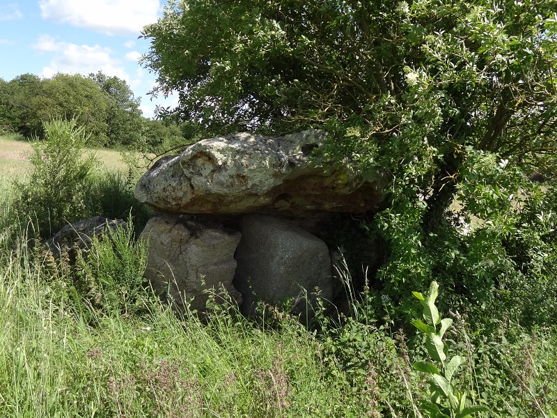 Dolmen de Fontenille