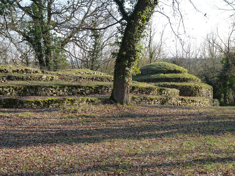 Click for the gallery page to add comments and vote (PID:117638) Bougon Tumulus