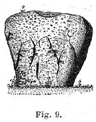 Menhir de la Pierre qui Vire