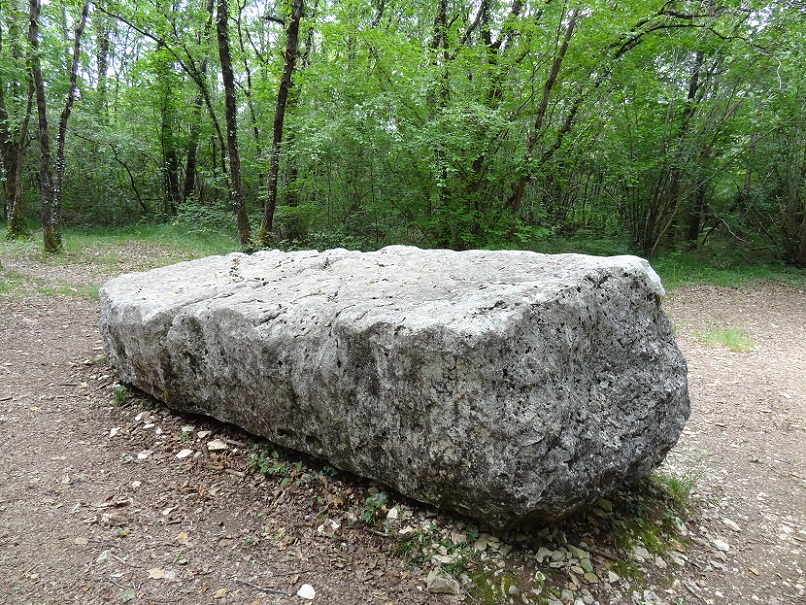 Dolmen dit la Pierre du Sacrifice (Boixe)