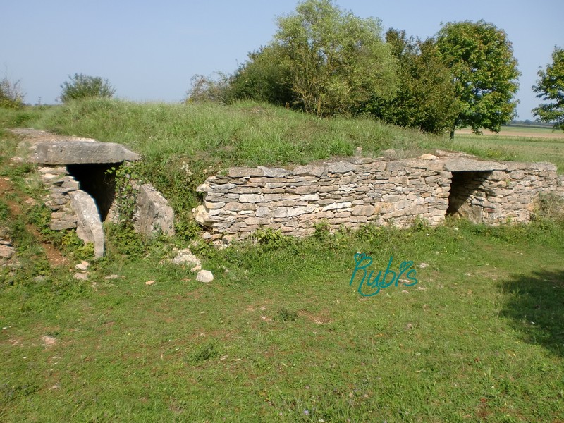 Tumulus du Montiou