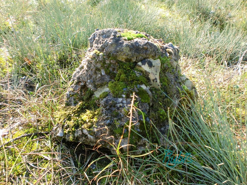 Menhir de la Pierre qui Vire