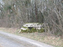 Dolmen des Grandes-Chaumes