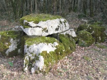 Dolmen des Grandes-Chaumes