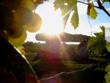 Saint Fort Dolmen