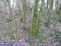 Tumulus du Bois de la Taillette
