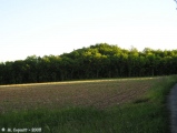 Le Gros Dognon tumulus - PID:17873