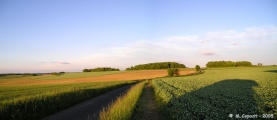 Vieux Breuil tumulus - PID:17875