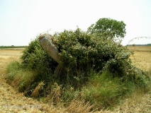 Dolmen d'Epennes