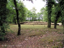 Bougon Tumulus E