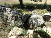 Maison de la Vieille Dolmen
