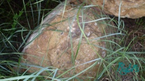 Beloire dolmen