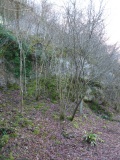 La Quina