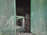 Grotte de la Chaise - PID:110444