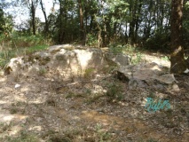 Dolmen du Tertre des fées