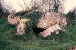 Dolmen de la Pierre Levée (La Vallée)