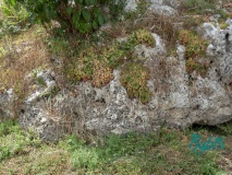 Dolmen de Marsais