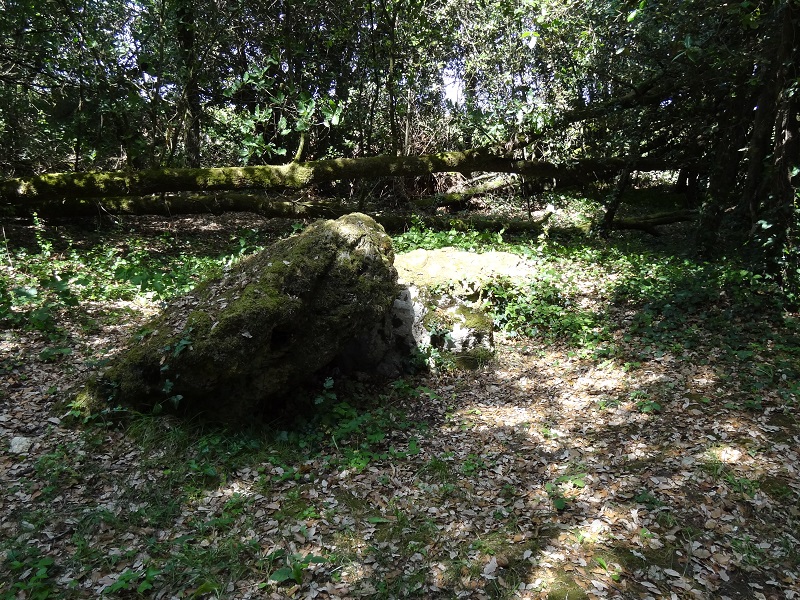 Click for full size image of La Pierre Levée (Sablonceaux) (PID:178174) La Pierre Levée (Sablonceaux)