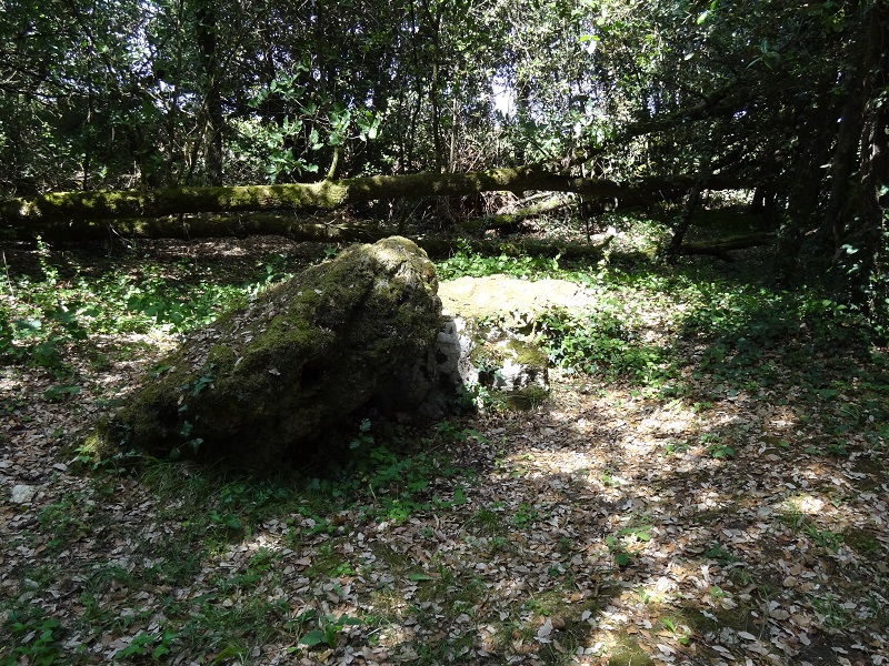 Hard to distinguish the dolmen but it's there, June 16, 2014