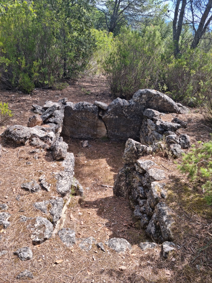 Click for the gallery page to add comments and vote (PID:270808) Adrets Dolmen 2