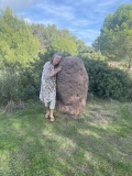 Aire Peyronne Menhir