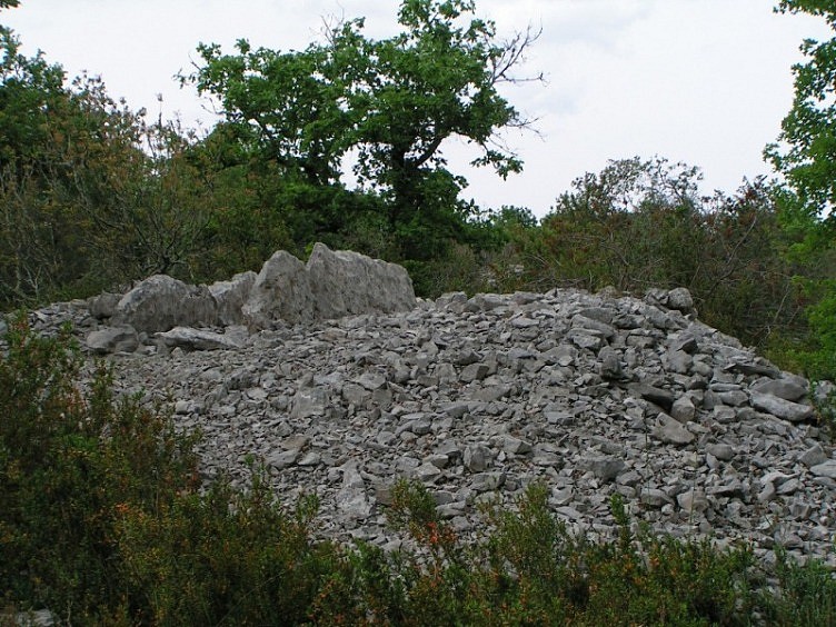 Dolmen des Granges (07)