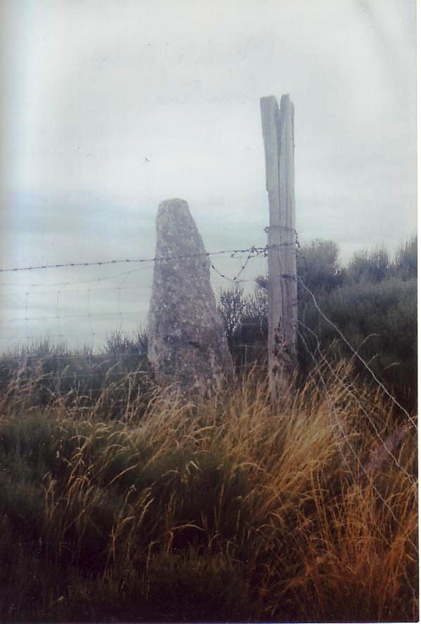 Menhir de Bombine