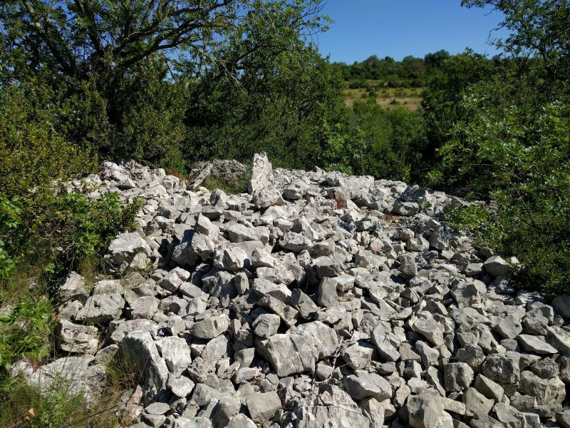 Click for the gallery page to add comments and vote (PID:183237) Dolmen du Bois de Chabanet