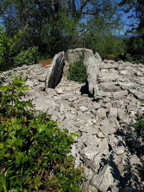 Dolmen de Bourbouillet 7