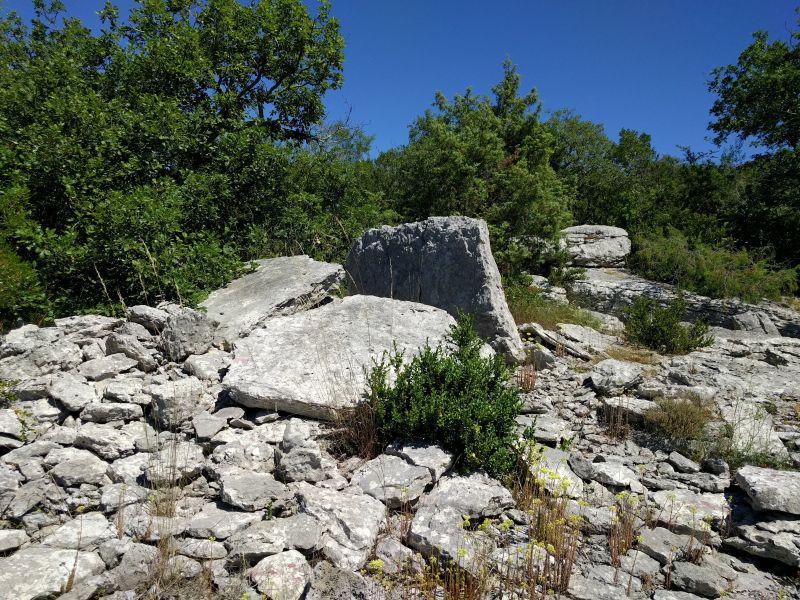 Click for the gallery page to add comments and vote (PID:183264) Dolmen de Flandrin (09)