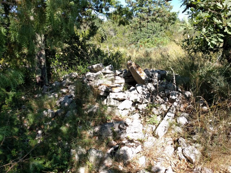 Dolmen de Flandrin (10)