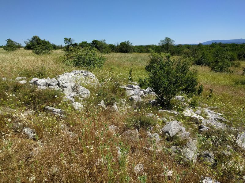 Click for the gallery page to add comments and vote (PID:183279) Dolmen de Flandrin (02)