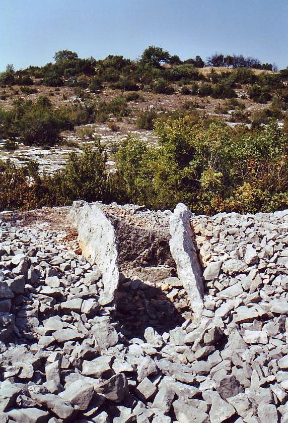 Dolmen du Gour de l'Estang 1