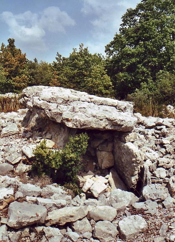 Dolmen des Granges (01)