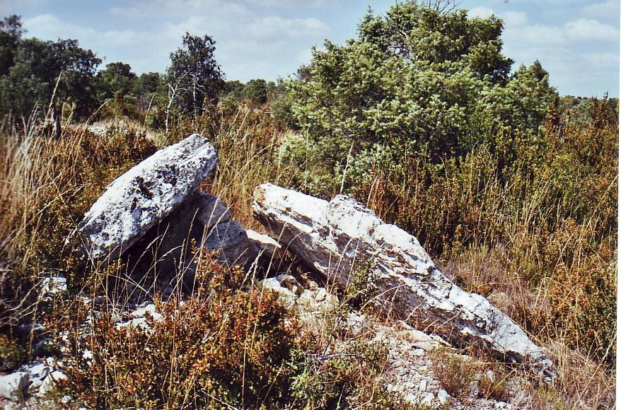 Dolmen de Banne 2