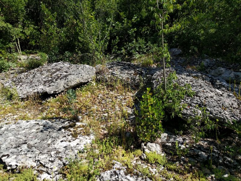 Click for the gallery page to add comments and vote (PID:182994) Dolmen du Ranc de Figère (11)