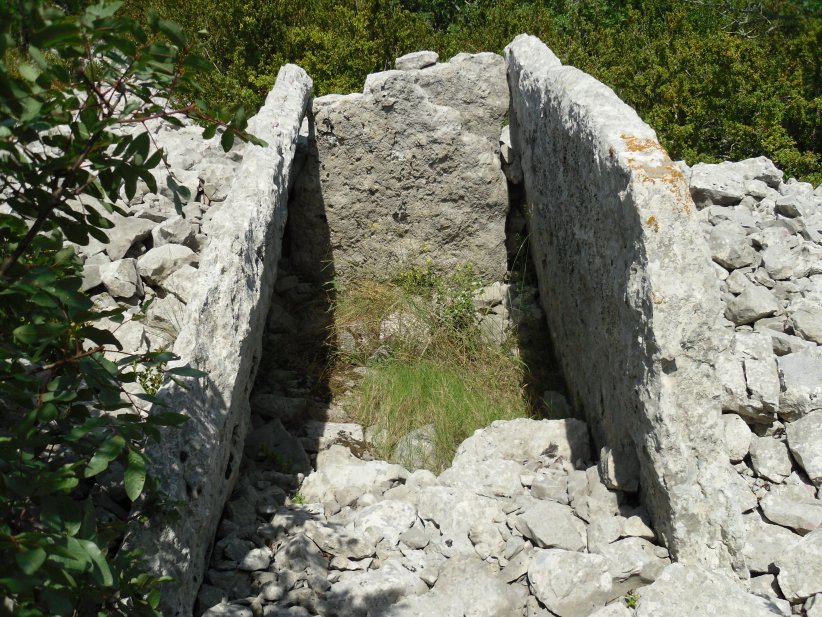 Dolmen de Flandrin (01)