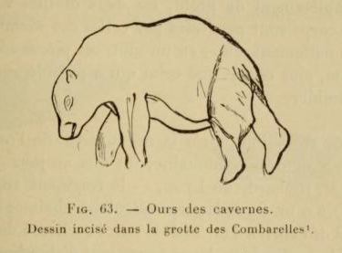 Cave Bear engraved in the cave, from 