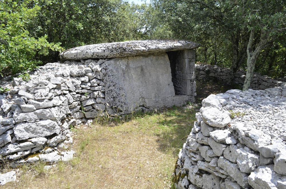Click for the gallery page to add comments and vote (PID:134247) Dolmen Cabane de Faveyrolles
