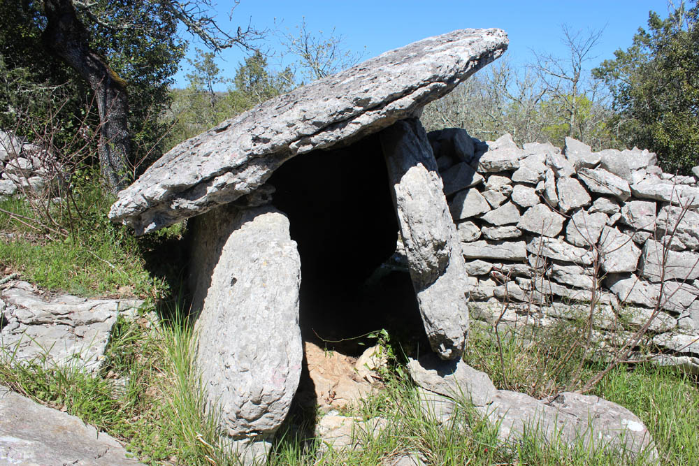 Click for the gallery page to add comments and vote (PID:131918) Dolmen du Ranc de Figère (07)