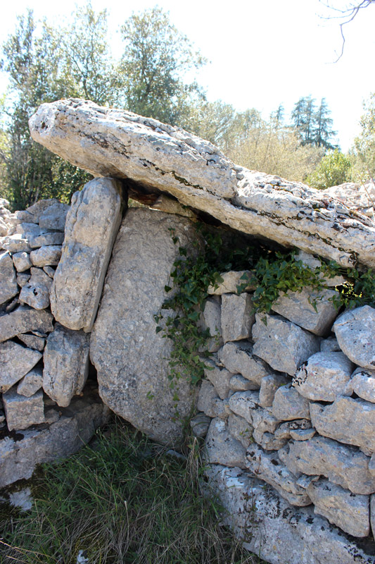 Click for the gallery page to add comments and vote (PID:131920) Dolmen du Ranc de Figère (05)