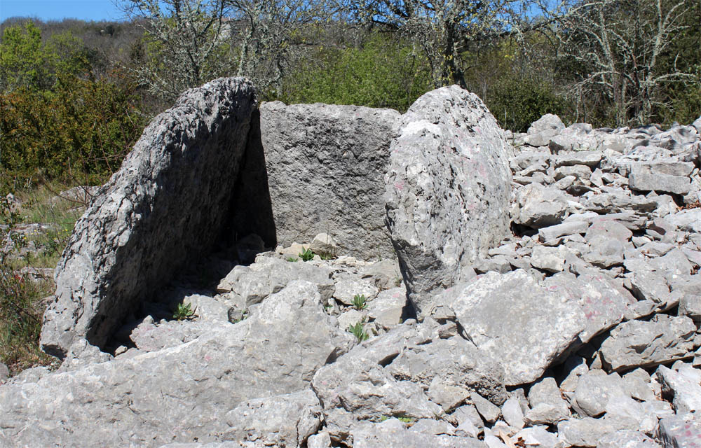Click for the gallery page to add comments and vote (PID:131923) Dolmen du Ranc de Figère (06)